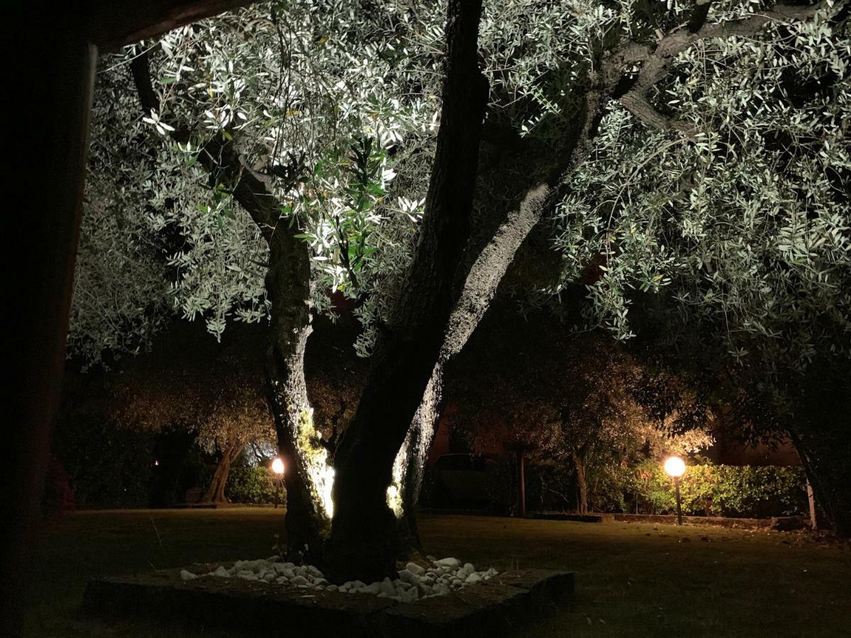 Tenuta Fagnani